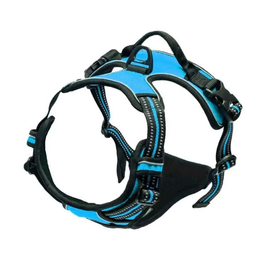 Comfort Fit Dog Harness