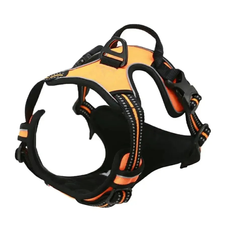 Comfort Fit Dog Harness