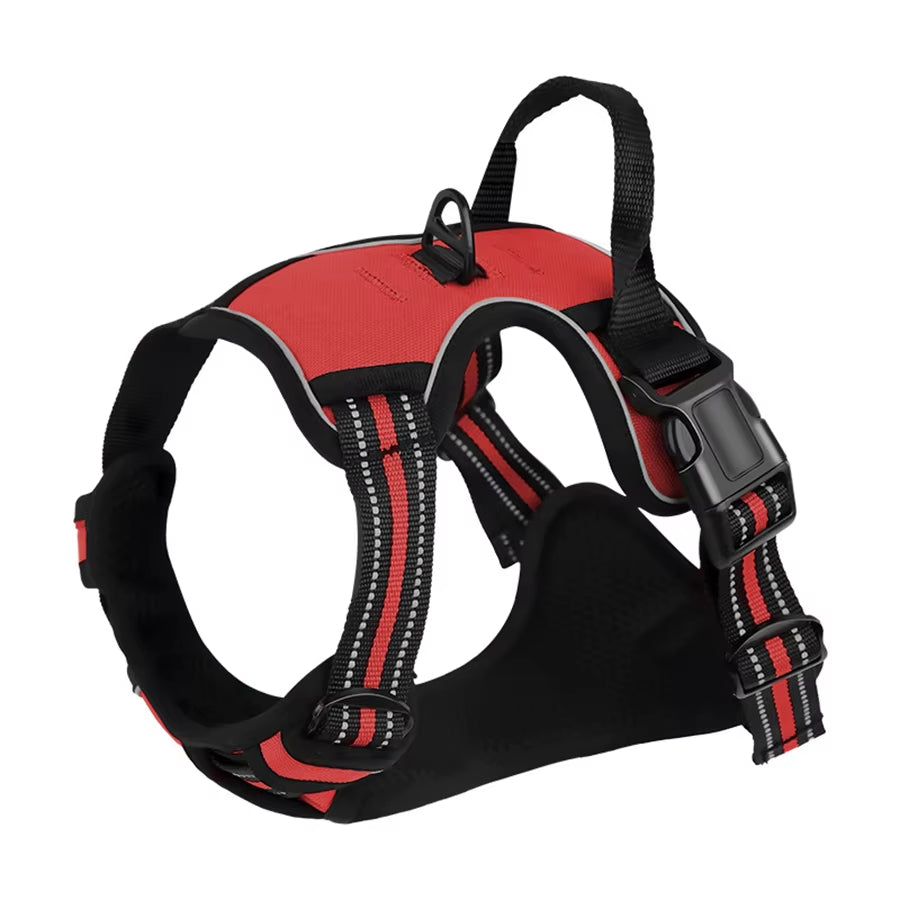 Comfort Fit Dog Harness